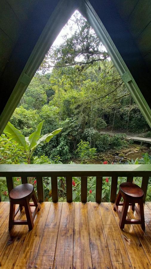 Hotel Cerveceria James Xilitla Exteriér fotografie